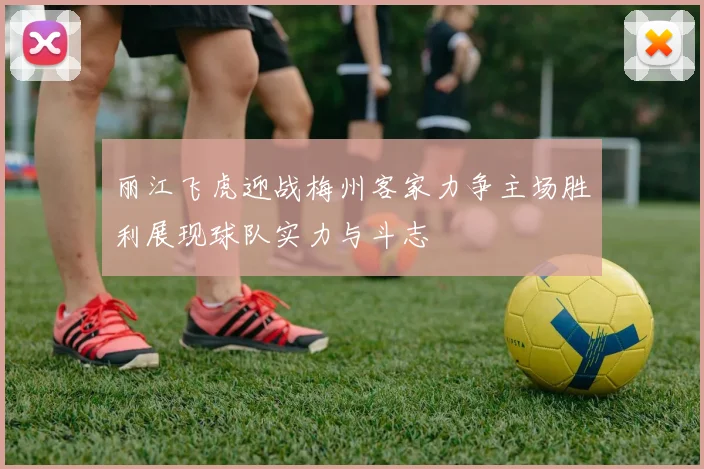 丽江飞虎迎战梅州客家力争主场胜利展现球队实力与斗志