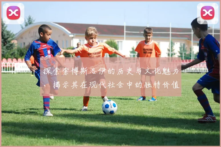 探索索博斯洛伊的历史与文化魅力，揭示其在现代社会中的独特价值与意义